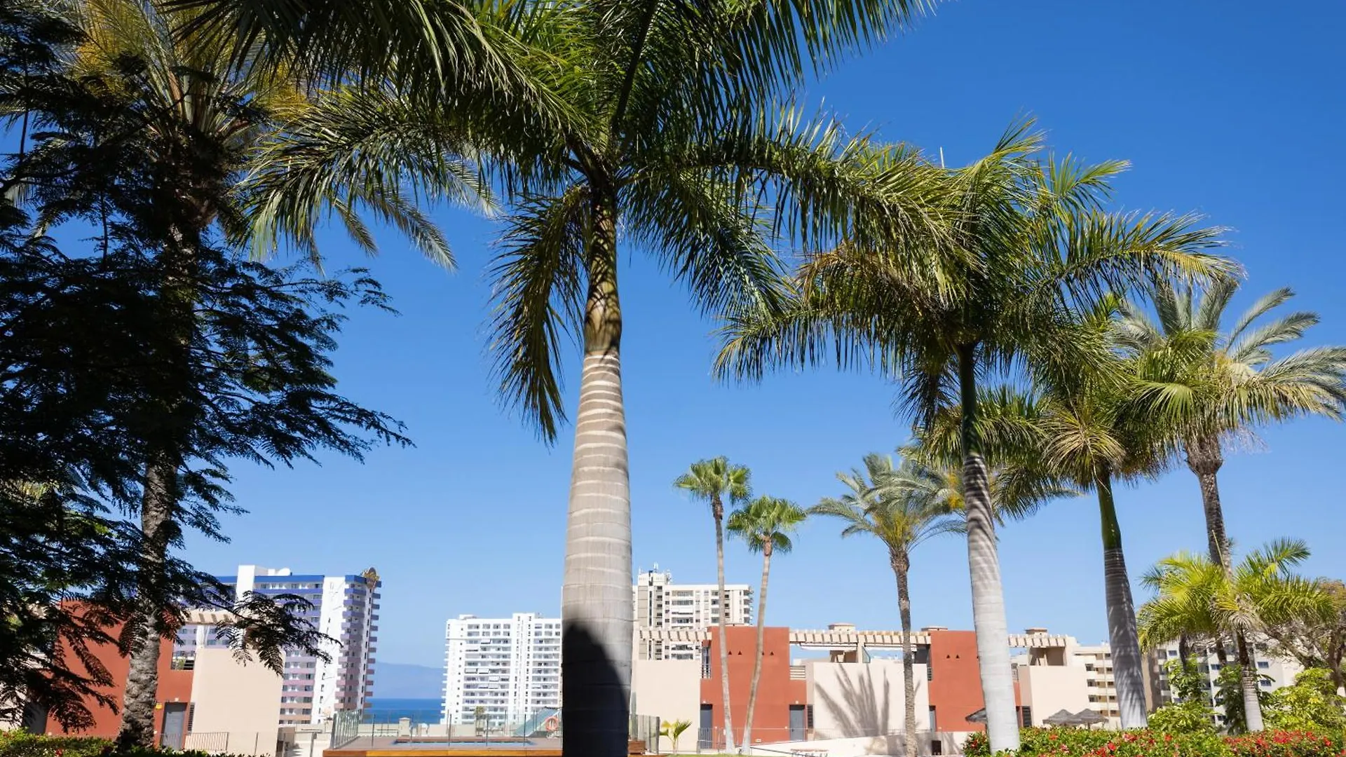Casa Julia Apartment Playa Paraiso   Playa Paraiso (Tenerife)